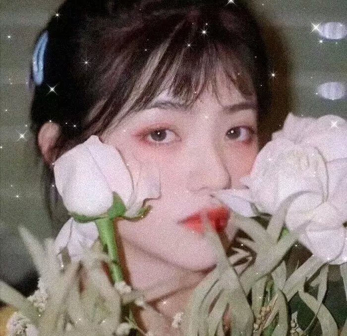 七星幻蝶墓